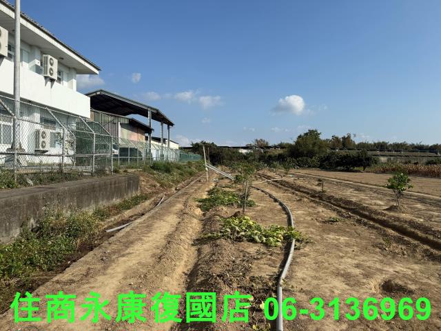 新市農地-7