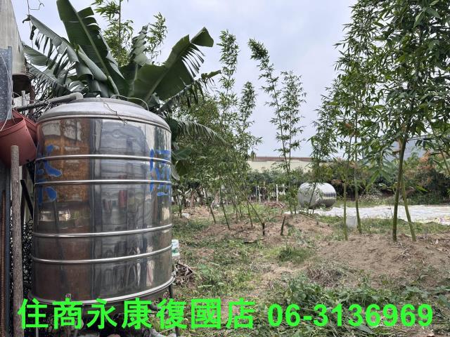 仁德農地-2