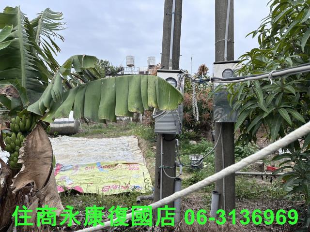 仁德農地-3