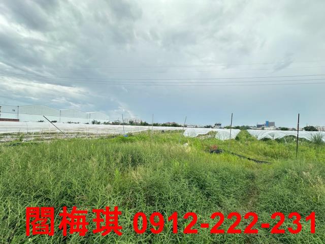 新市農地-3