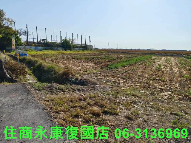 佳里農地-13