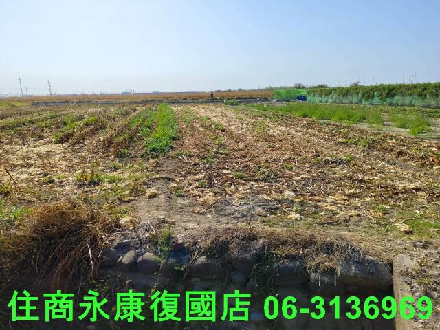 佳里農地-5