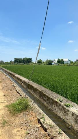 蘆竹農地-1