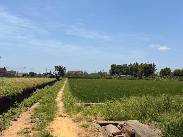 蘆竹農地-2