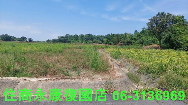官田農地-14