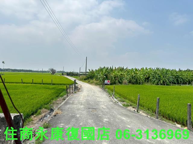 崁頂農地-10
