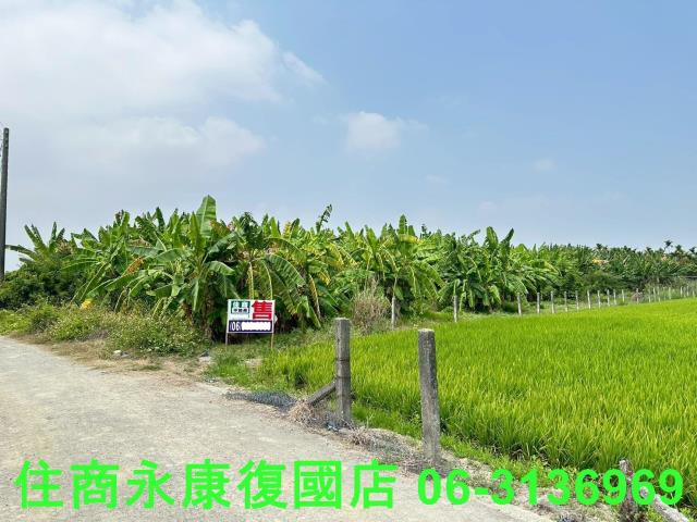 崁頂農地-11