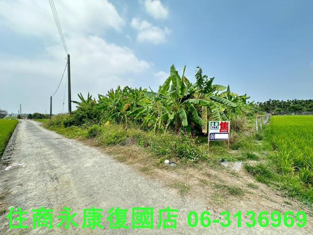 崁頂農地-12