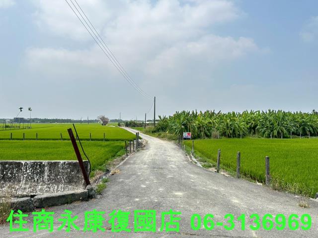 崁頂農地-13