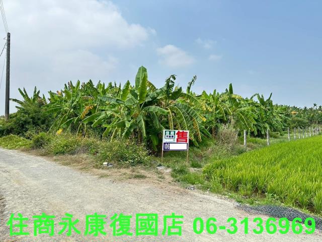 崁頂農地-1