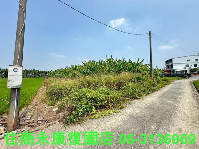 崁頂農地-3