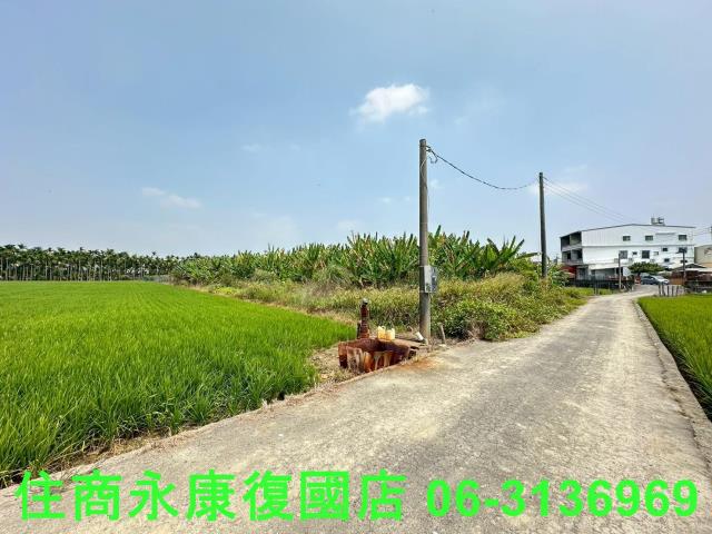 崁頂農地-4