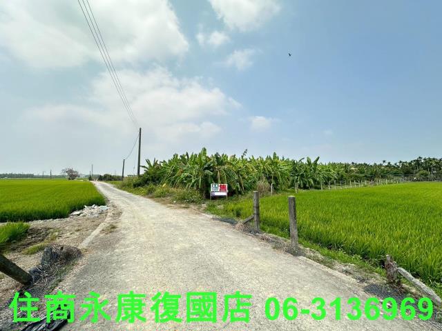 崁頂農地-5
