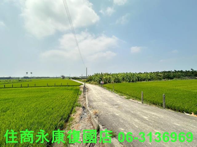 崁頂農地-6