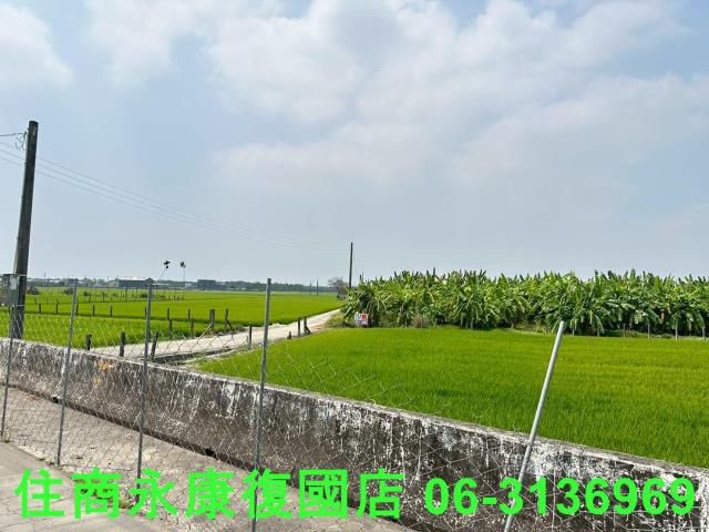 崁頂農地-9