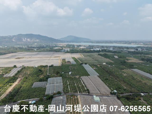 燕巢農地-15