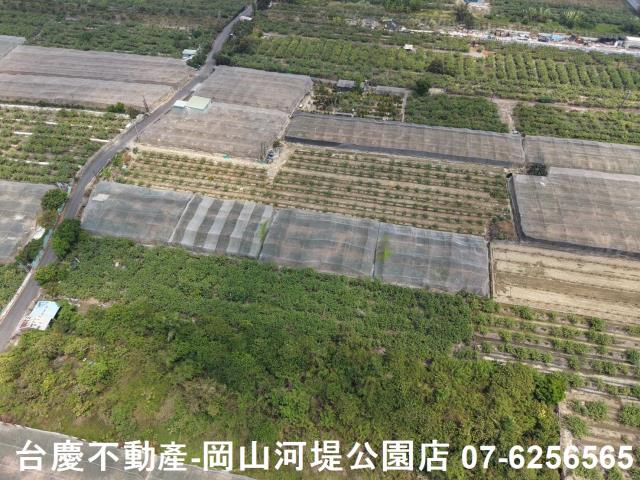 燕巢農地-7