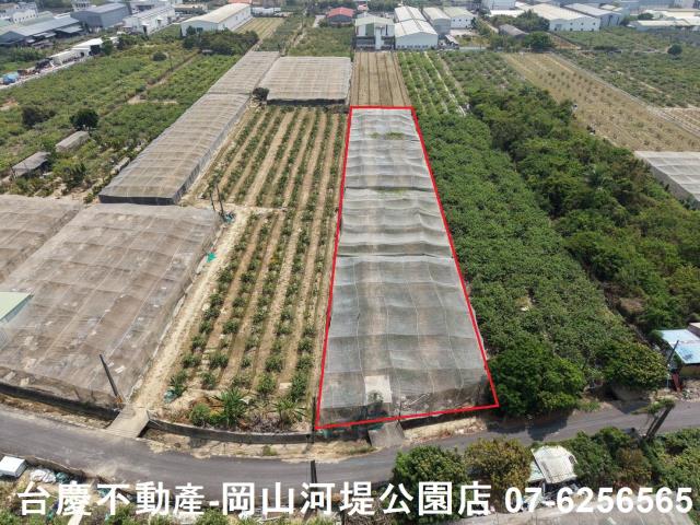 燕巢農地-2
