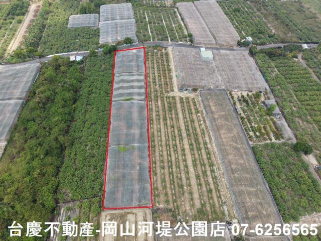 燕巢農地-1
