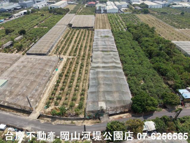 燕巢農地-12