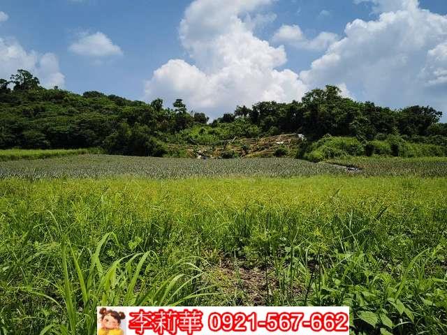 高雄大樹農地-10