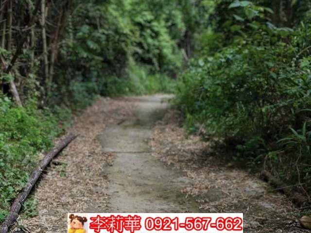 高雄大樹農地-2