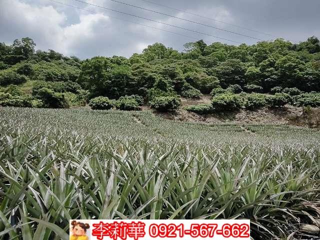 高雄大樹農地-5