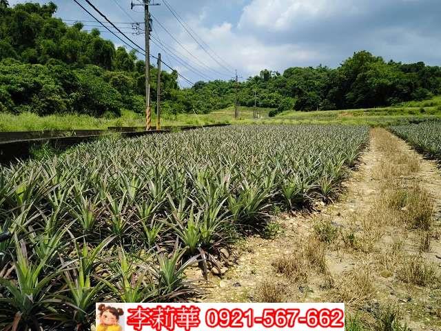 高雄大樹農地-6