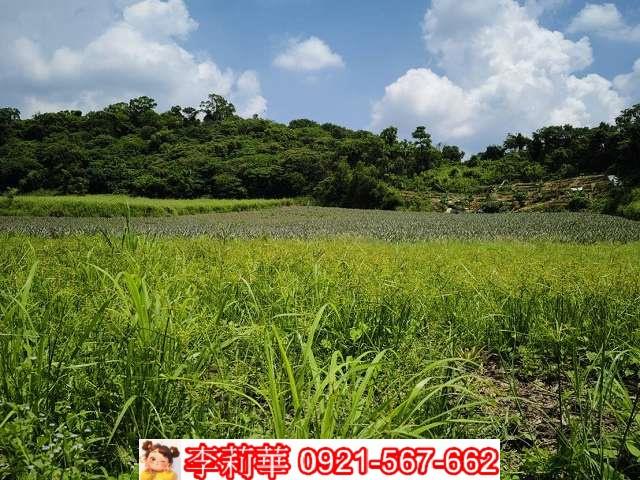 高雄大樹農地-8