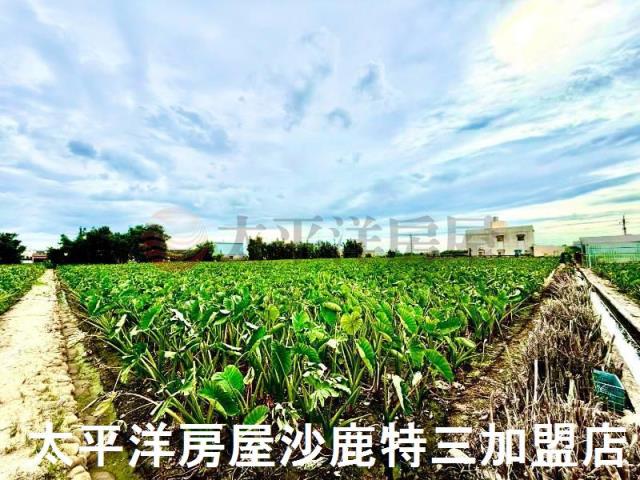 台中大甲農地-1