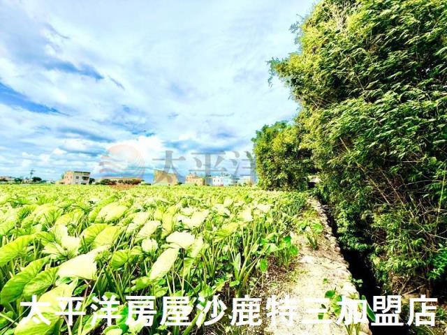 台中大甲農地-3