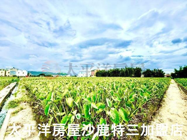 台中大甲農地-4