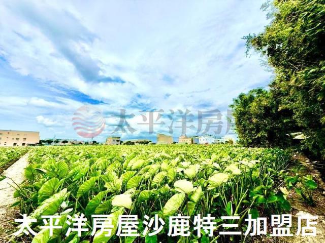 台中大甲農地-5