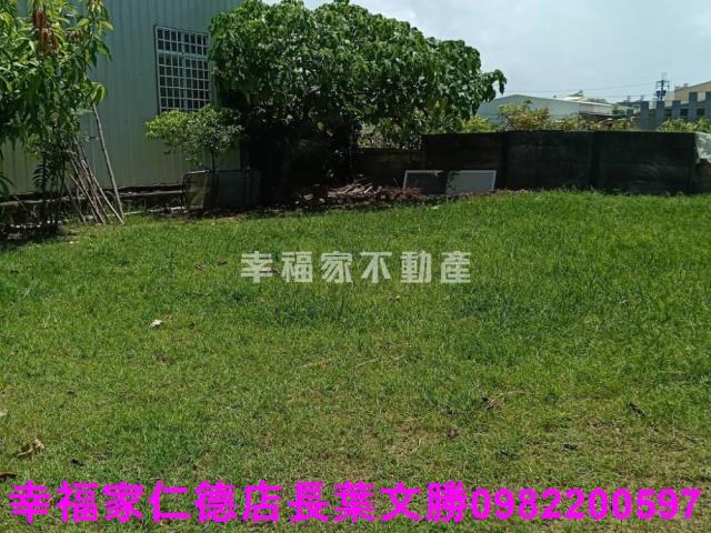 台南仁德農地-13