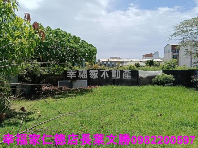 台南仁德農地-1