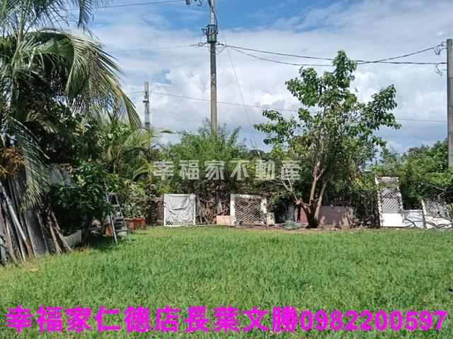 台南仁德農地-2