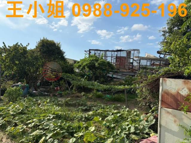 桃園八德農地-4