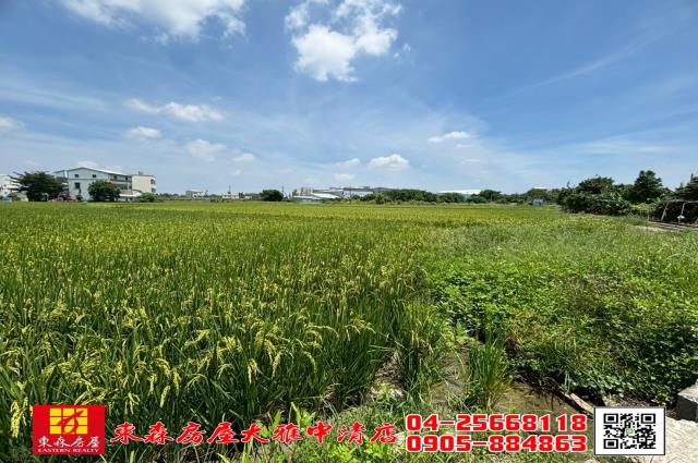 大雅農地-2