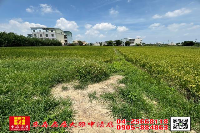 大雅農地-3