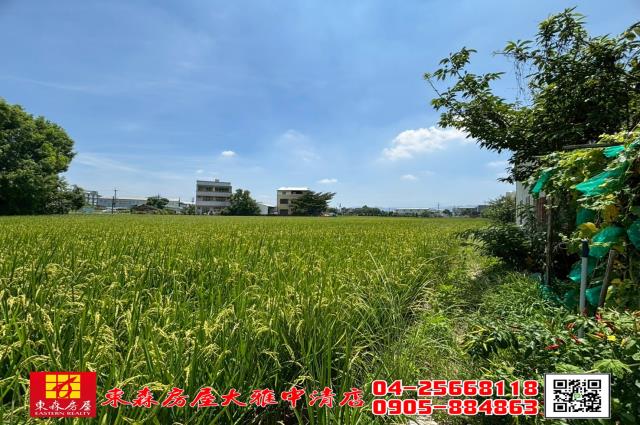 大雅農地-4