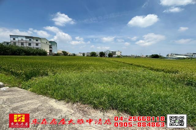 大雅農地-6