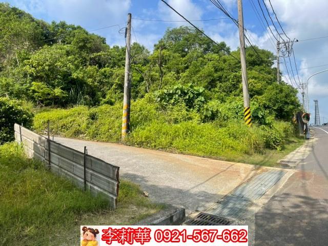 玉井農地-4