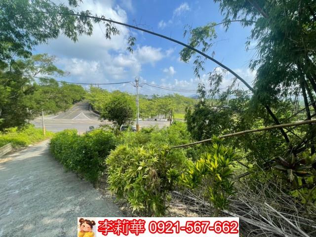 玉井農地-6