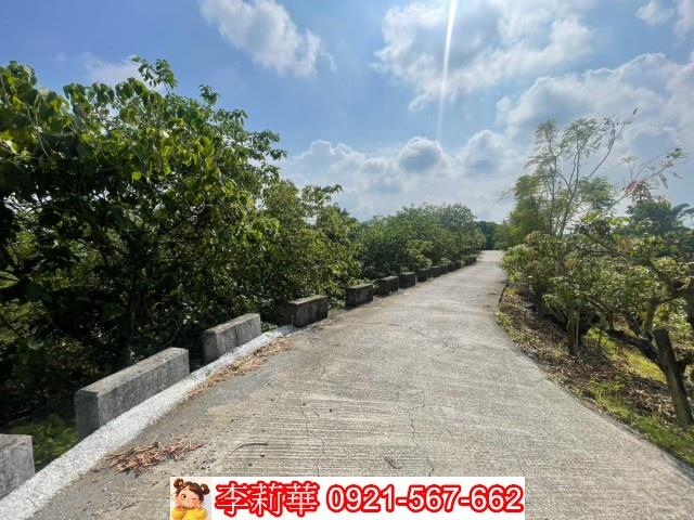 玉井農地-8