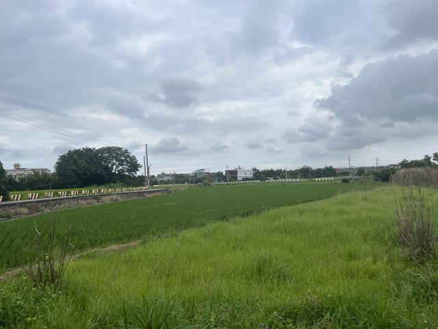 桃園農地-4