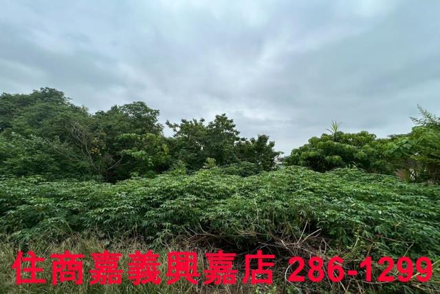 嘉義建地-7