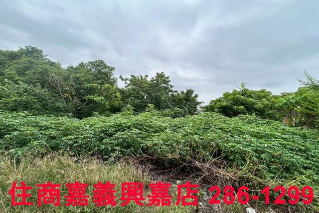 嘉義建地-8