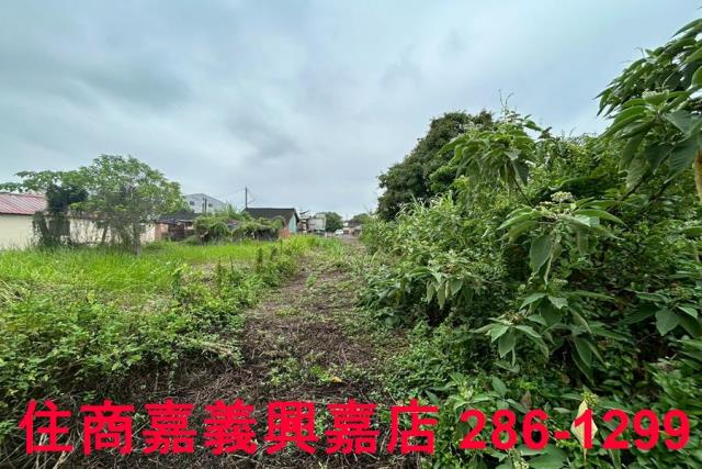 嘉義建地-9