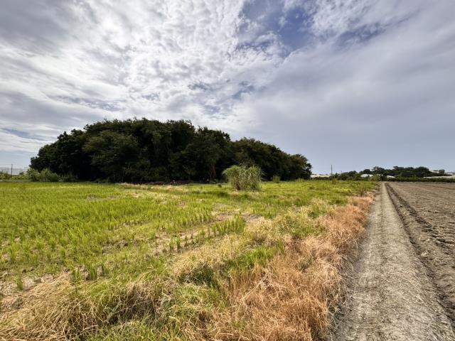 雲林農地-12