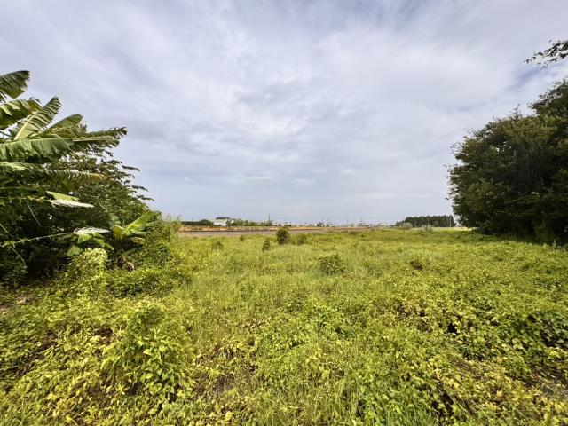 雲林農地-1